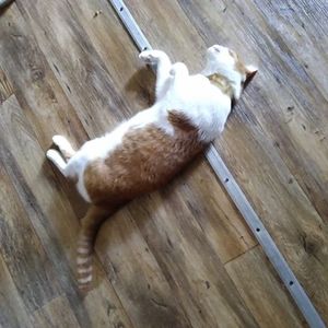 Meet your Posher, Margaret